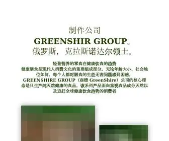 Greenshire-China.ru.com(制作公司 GREENSHIR GROUP) Screenshot