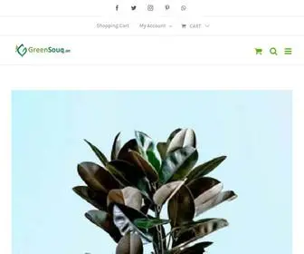 Greensouq.ae(Indoor plants & Outdoor plants) Screenshot