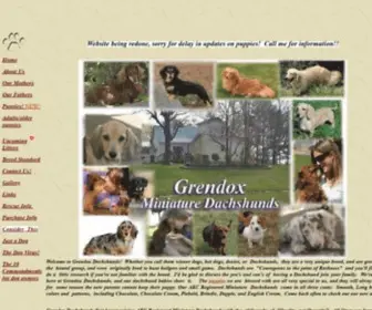 GrendoxDachshunds.com(Grendox Miniature Dachshunds) Screenshot