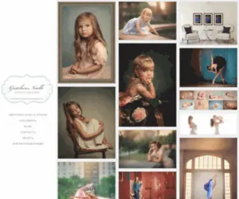 Gretchennoellephotography.com(Metro Detroit Portrait Photographer) Screenshot