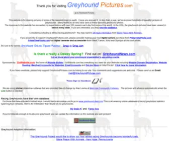 Greyhoundpictures.com(Greyhound Pictures) Screenshot