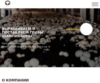 Grib-Company.ru(Грибная компания) Screenshot