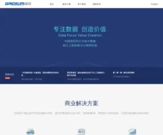 Gridsum.com(国双(Gridsum)) Screenshot