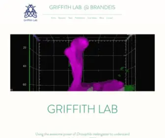 Griffithlabbrandeis.com(Griffith Lab  @ Brandeis) Screenshot