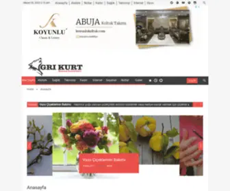 Grikurt.com(Gri Kurt) Screenshot