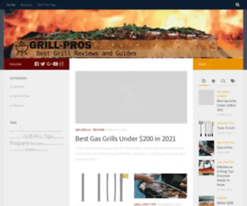 Grill-Pros.com(Grill Pros) Screenshot