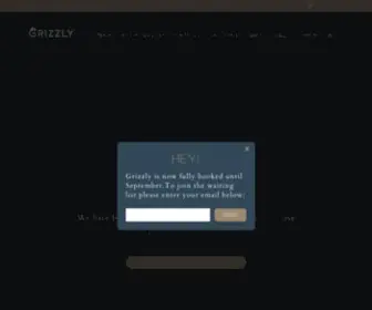 Grizzlybeardesign.co.uk(Password Required) Screenshot