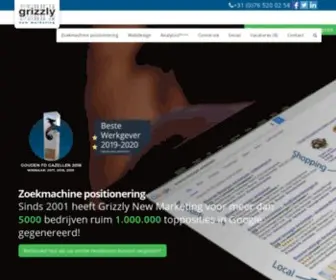 Grizzlymarketing.nl(Specialist zoekmachine positionering) Screenshot