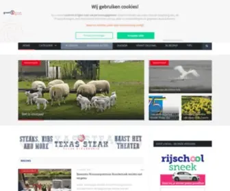 Grootsneek.nl(Groot Sneek) Screenshot