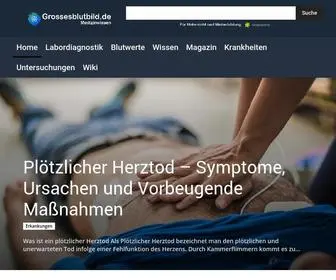 Grossesblutbild.de(Blut, Herz-Kreislauf, Krankheiten) Screenshot