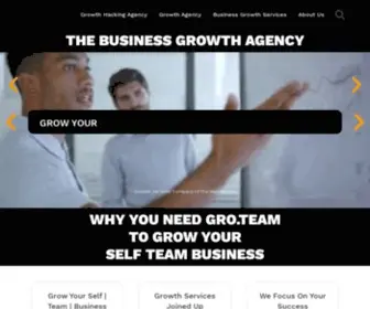 Gro.team(Business Growth Agency) Screenshot