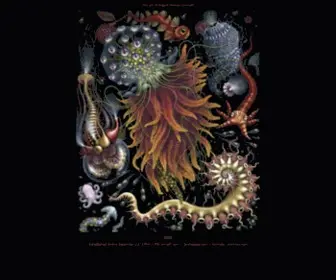 Grotesque.com(The Art and words of Robert Steven Connett) Screenshot