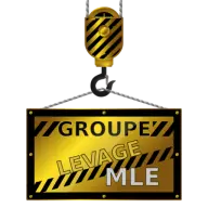 Groupe-Levage-Mle.ca Favicon