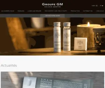 Groupegm.com(Acteur) Screenshot