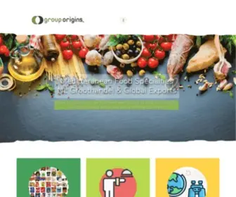 Grouporigins.com(Group Origins BV) Screenshot