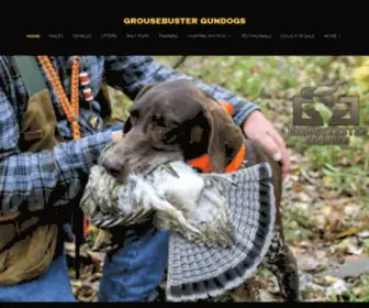 Grousebustergundogs.com(Grousebuster Gundogs) Screenshot