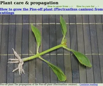 Growandcare.com(Plant care and propagation) Screenshot