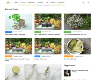 Growkitchenherbs.com(Best Herbs to Grow in Your Kitchen Garden) Screenshot