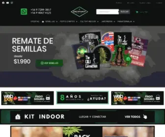 Growshopchile.cl(Growshop Chile) Screenshot