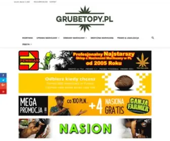 Grubetopy.pl(Dedicated Server Hosting) Screenshot