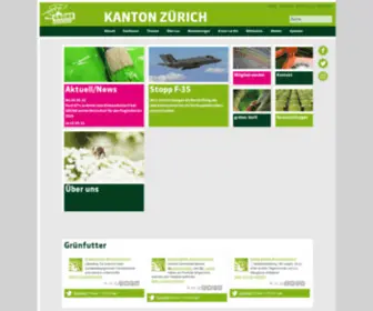 Gruene-ZH.ch(Zürich) Screenshot