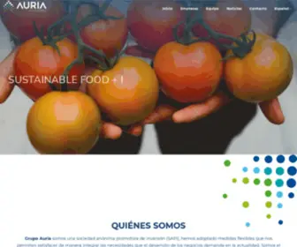 Grupoauria.com(Grupo Auria) Screenshot