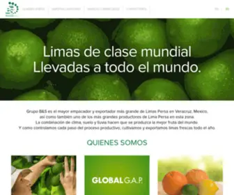 Grupobs.mx(Español) Screenshot