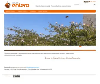 Grupoentero.com(Grupo Entero) Screenshot