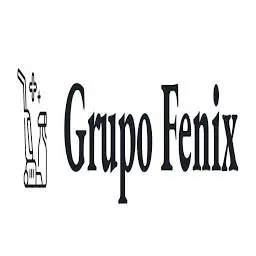 Grupofenix.co Favicon