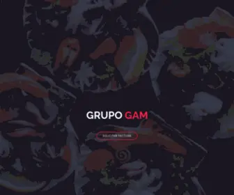 Grupogam.mx(Grupo Gam) Screenshot