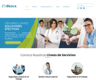 Gruporiesca.co(Seguridad y salud en el trabajo) Screenshot