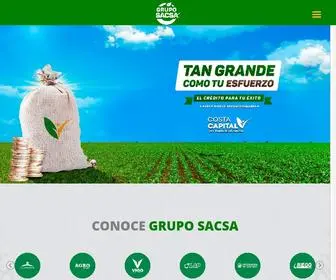 Gruposacsa.com.mx(Grupo SACSA) Screenshot