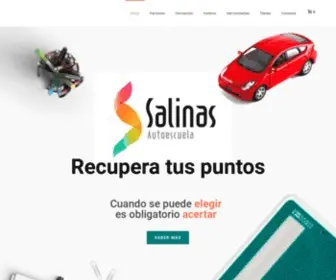 Gruposalinas.net(Autoescuela Salinas) Screenshot