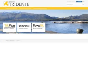 Grupotridente.cl(Grupo Tridente « Todas las soluciones de pipping en HDPE y Acero) Screenshot