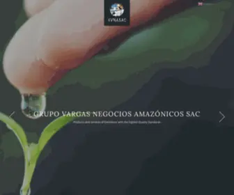 Grupovargas-NA.com(GVNASAC) Screenshot