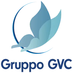 GruppogVC.it Favicon