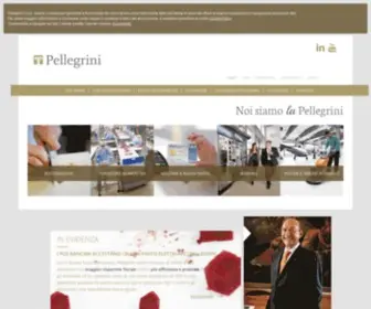 Gruppopellegrini.it(Gruppo Pellegrini S.p.A) Screenshot