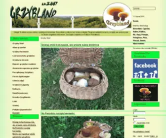 GRZYbland.pl(Uprawa grzybów) Screenshot