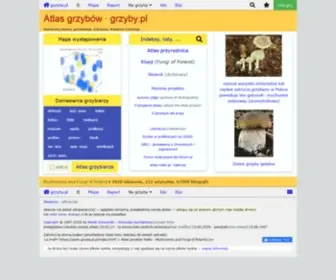GRZYBY.pl(Atlas grzybów Polski) Screenshot