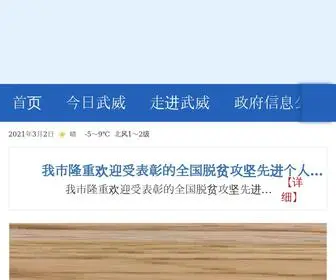 Gswuwei.gov.cn(武威市人民政府) Screenshot