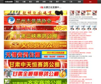 GSXGW.com(甘肃信鸽网) Screenshot