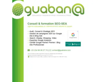 Guabana.com(Consultant SEO) Screenshot