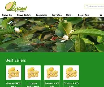 Guavaorchard.com(Guava Orchard) Screenshot