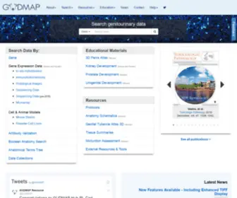 Gudmap.org(The GenitoUrinary Development Molecular Anatomy Project (GUDMAP)) Screenshot