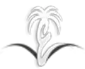 Gulfdisability.info Favicon