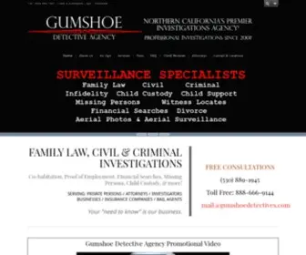 Gumshoedetectiveagency.com(CIVIL AND CRIMINAL INVESTIGATIONS) Screenshot