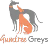 Gumtreegreys.com.au Favicon