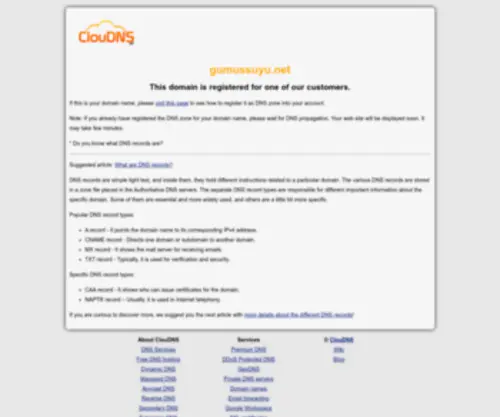 Gumussuyu.net(DNS records) Screenshot