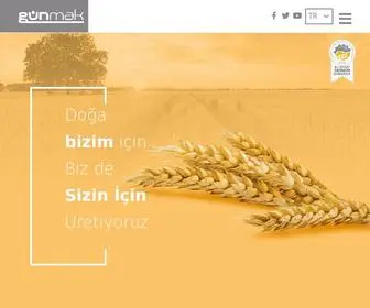 Gun-Mak.com(GÜNMAK Güney Değirmen Makina ve Helezon San) Screenshot