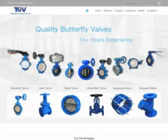 Guojivalve.com(Tianjin Guoji Valve Co) Screenshot